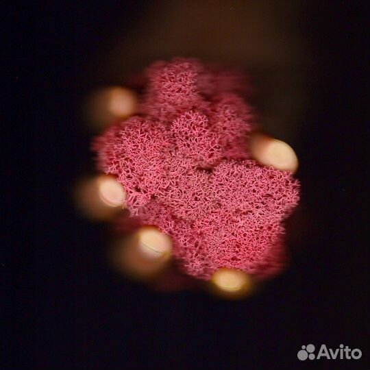 Стабилизированный Мох, Фиолетовый