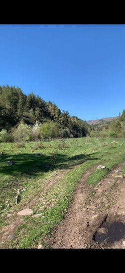 Участок 9 га (СНТ, ДНП)