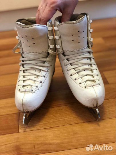 Коньки фигурные edea overture 210С+ultima Legacy 8