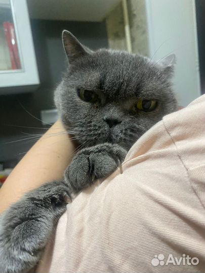 Выбросили в переноске с запиской нужен дом