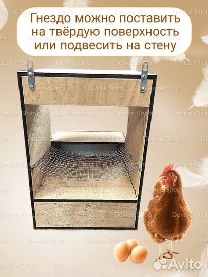 Гнездо для кур с яйцесборником