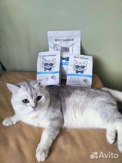 Корм для кошек Best dinner