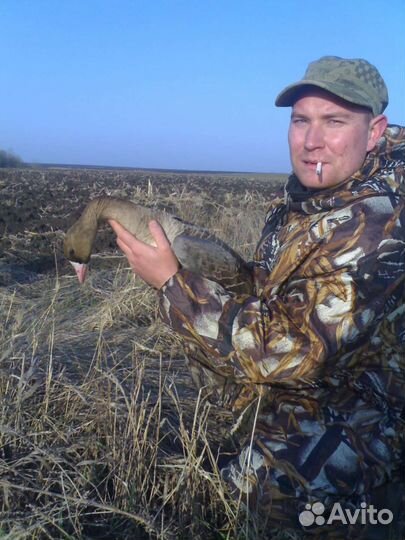 Охота на гуся