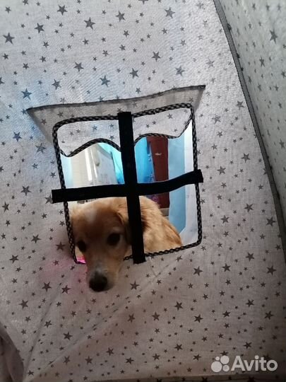 Палатка-шатёр