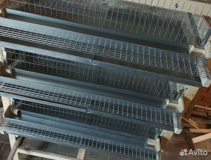 Клетка, ферма, батарея для перепелов