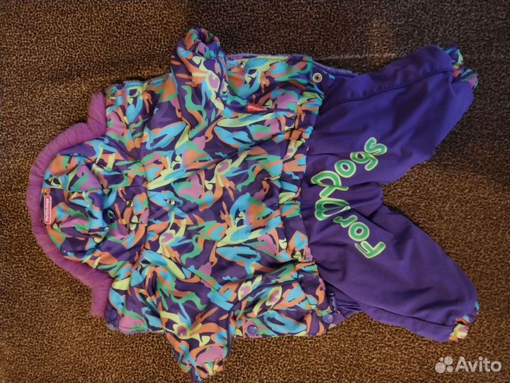 Одежда для собак