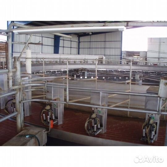 Доильный зал карусель для коров