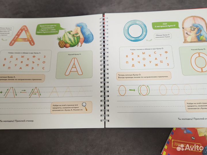 Как научиться писать 5-7 лет Шамиль Ахмадуллин