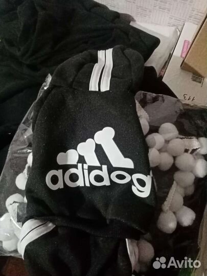 Одежда для маленьких собак