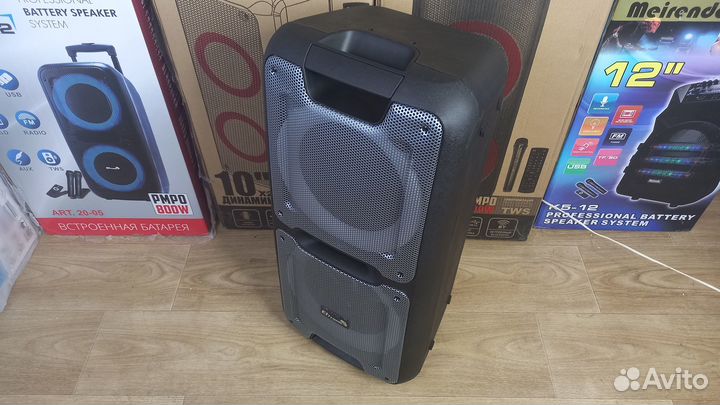 Портативная колонка Eltronic 20-14