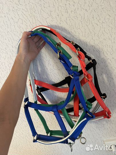 Недоуздок для лошади и пони