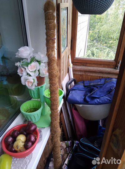 Бамбуковая палка для растений, длина 105 см