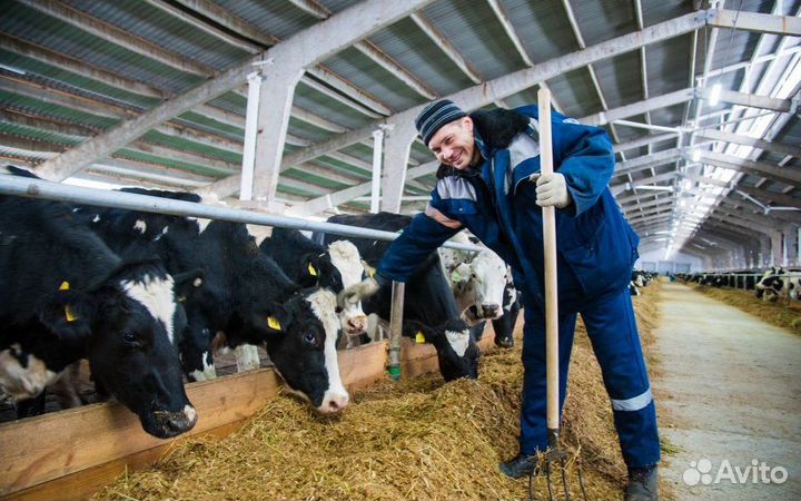 Вахта Разнорабочий на агрофирму