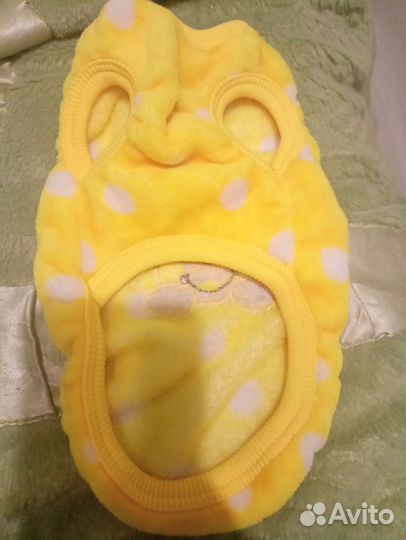 Одежда для маленьких собак