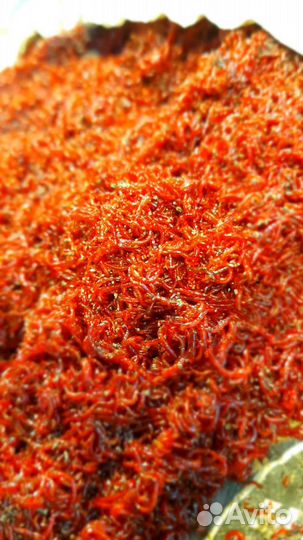 Корм для аквариумных рыбок