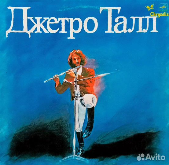 Джетро Талл фирма 