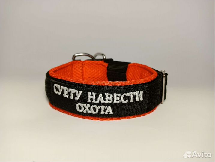Ошейники для собак