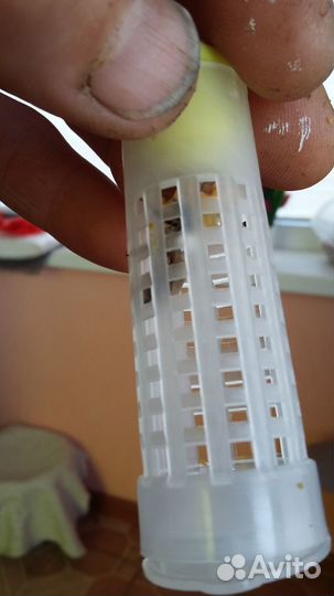 Пчеломатки