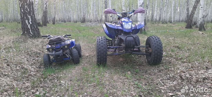 Квадроцикл ирбис 250