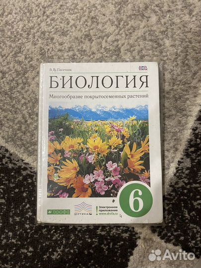 Учебник по биологии 6 класс пасечник