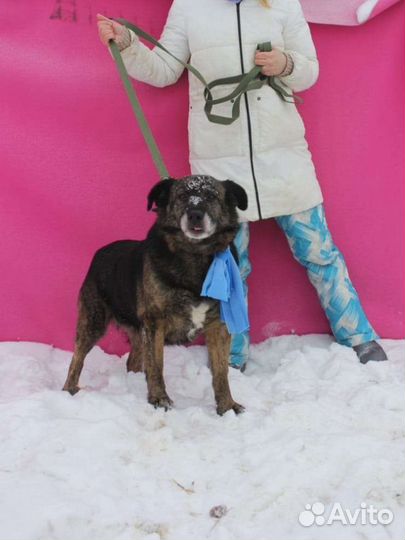 Нежнейшая ласкуша Балин