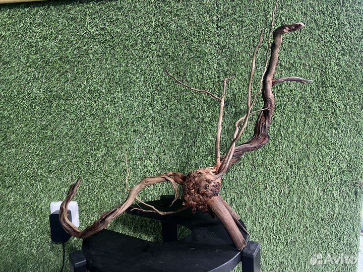 Грот для аквариума, Коряги