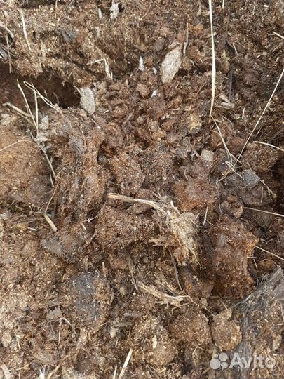 Навоз конский