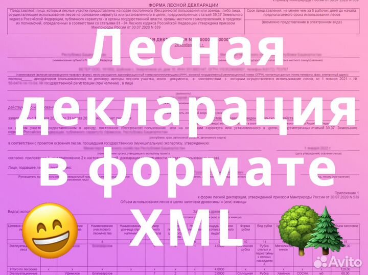 Лесная декларация в формате XML по приказу № 303