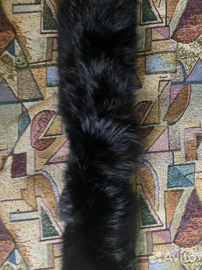 Меховой воротник лиса