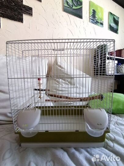 Клетка для попугаев