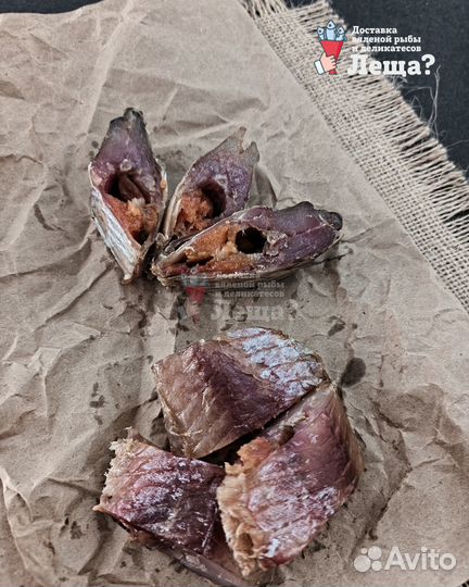 Сорожка сорога рыба