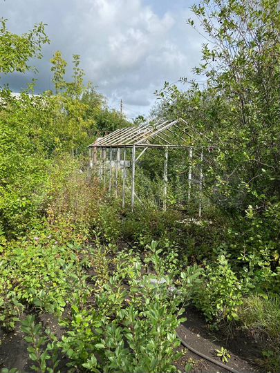 Участок 4 сот. (СНТ, ДНП)