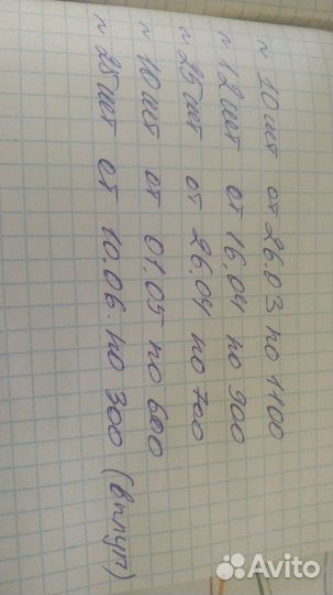 Баран романовский