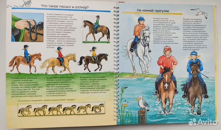 Книга Лошади и пони