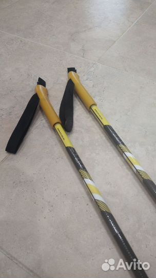 Лыжные палки