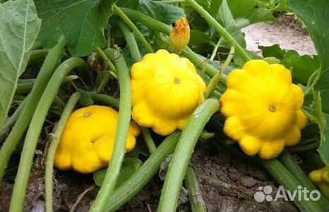 Домашние помидоры, компоты, закрутки