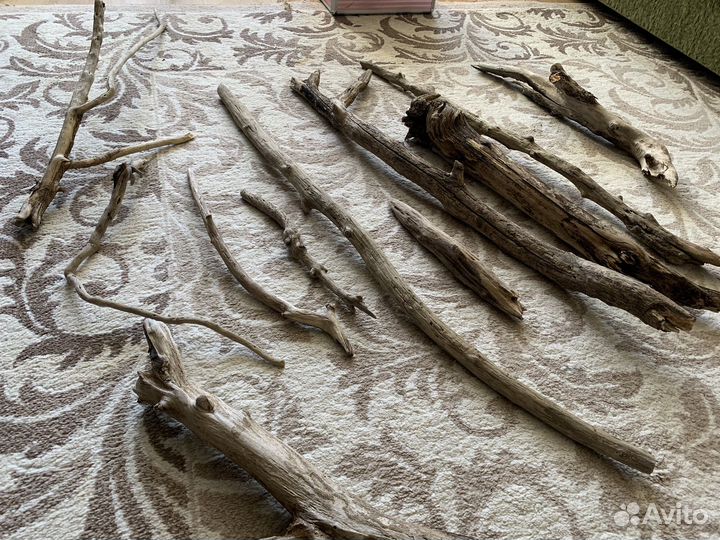 Коряги дрифтвуд