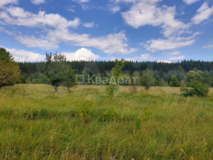 Участок 9 га (СНТ, ДНП)