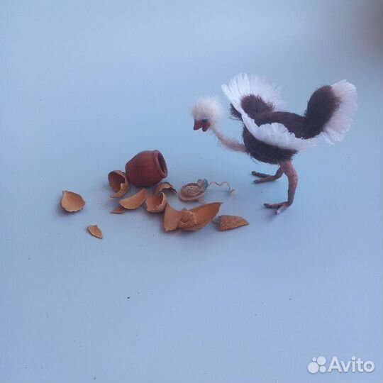 Страусенок