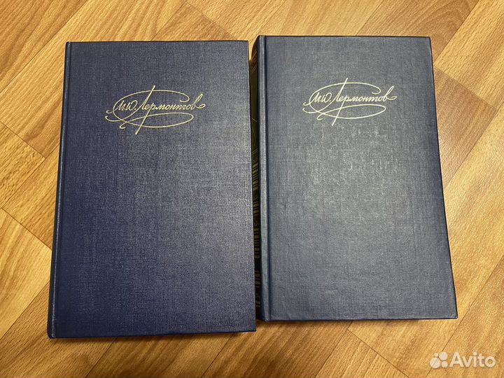 Лермонтов собрание сочинений в 2-х томах