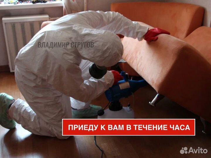 Дезинсекция. Уничтожение клопов. Травля тараканов