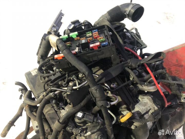 Двигатель Volkswagen Tiguan CFF 2.0 Diesel