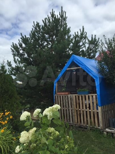 Участок 8,5 сот. (СНТ, ДНП)