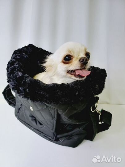 Сумки переноски для собак и кошек