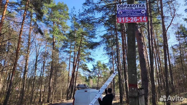 Реклама на столбах и деревьях в Лен.области