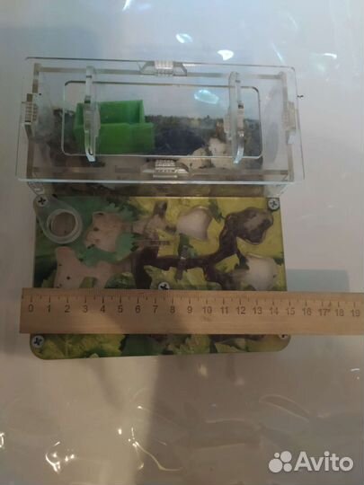 Муравьиная ферма без муравьев