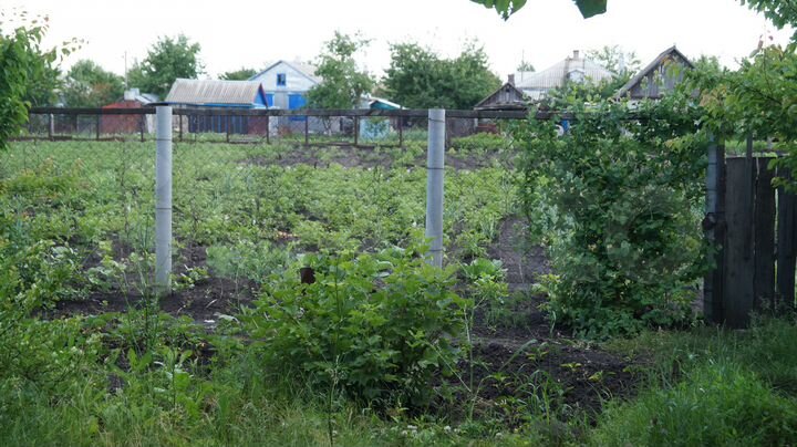 Дом 50 м² на участке 15 сот.