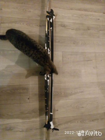 Лыжи пластиковые 160см