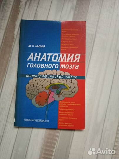 Анатомия головного мозга. Фотографический атлас