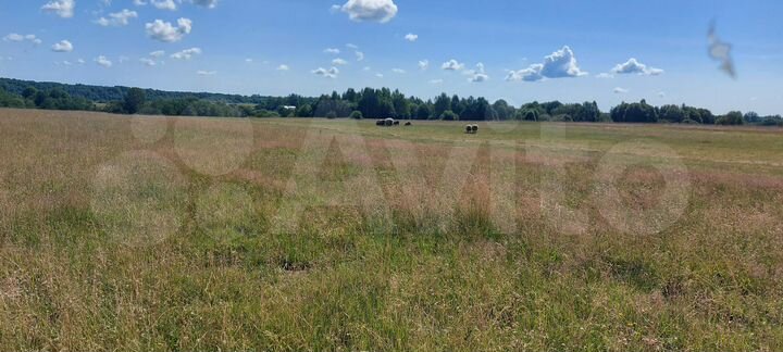 Участок 25 га (СНТ, ДНП)